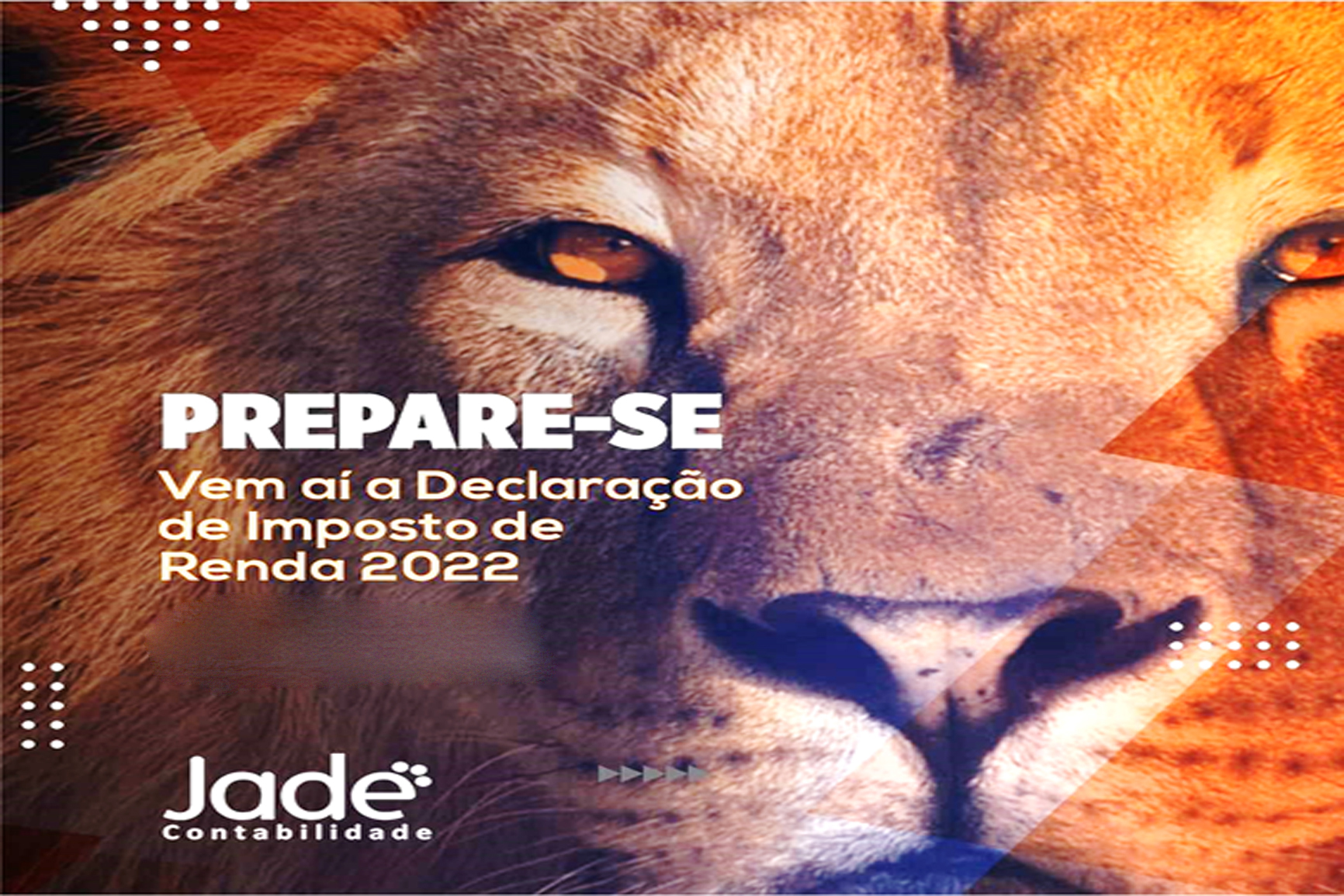 TRIBUTARIO – IMPOSTO DE RENDA 2022