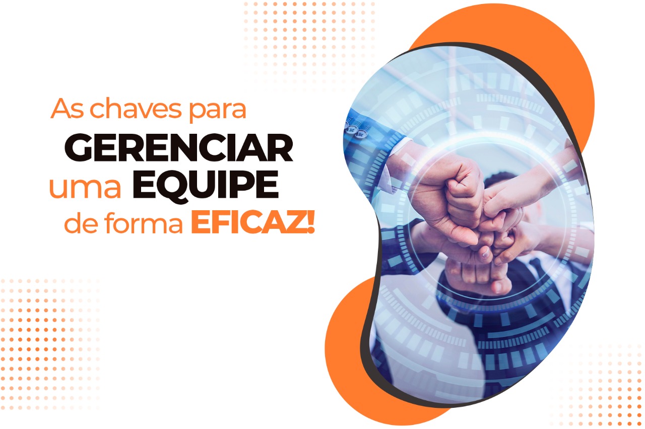 GERENCIAMENTO DE EQUIPES